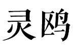 05類(lèi)藥品制劑